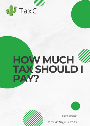 How Much Tax Should I Pay? (Mini Guide)